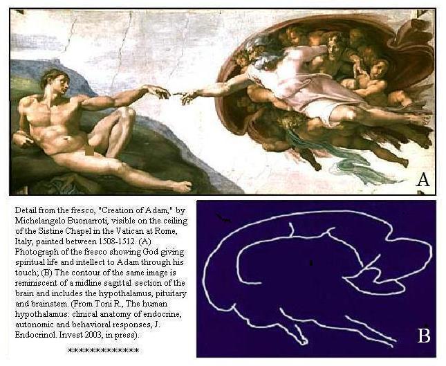 Creation Of Adam