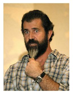 Mel Gibson