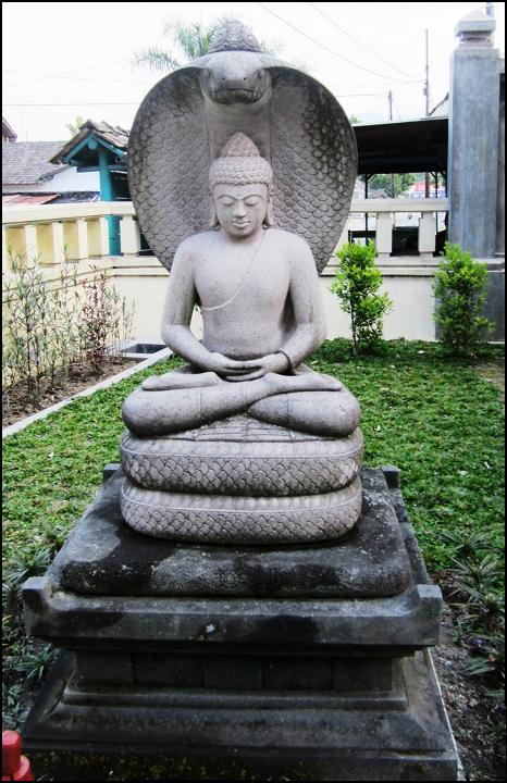 Buddha and Cobra